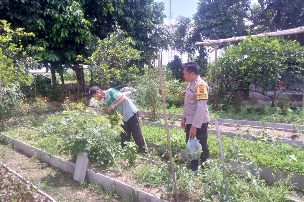Polri dan Petani Jagaraga Bersinergi Wujudkan Kemandirian Pangan Lokal