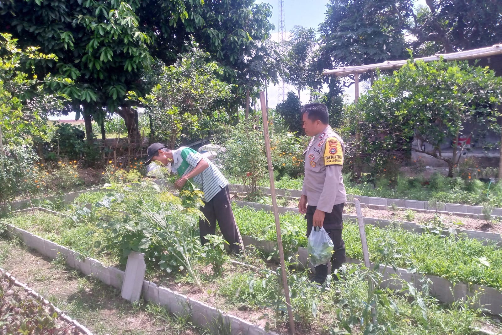 Polri dan Petani Jagaraga Bersinergi Wujudkan Kemandirian Pangan Lokal