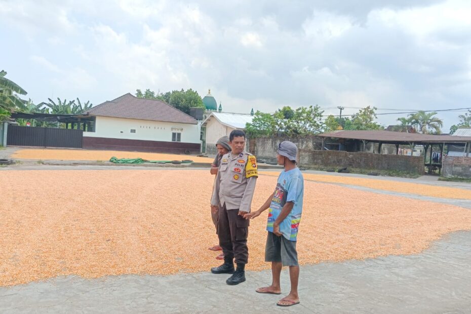 Polsek Gerung Pastikan Stok Jagung 30 Ton di Gudang Desa Beleka Aman
