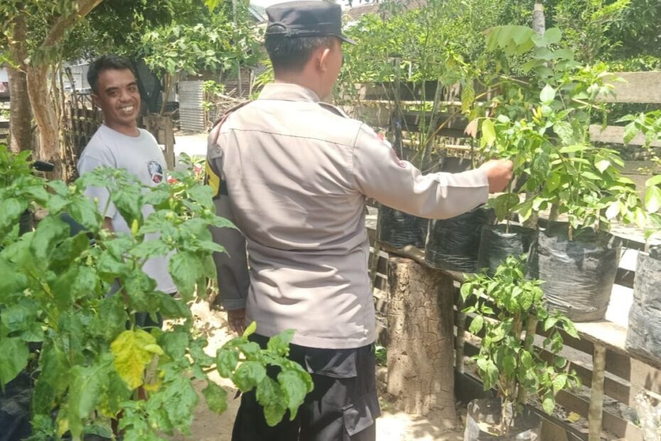 Polri dan Warga Sekotong Bersinergi Wujudkan Kemandirian Pangan Keluarga