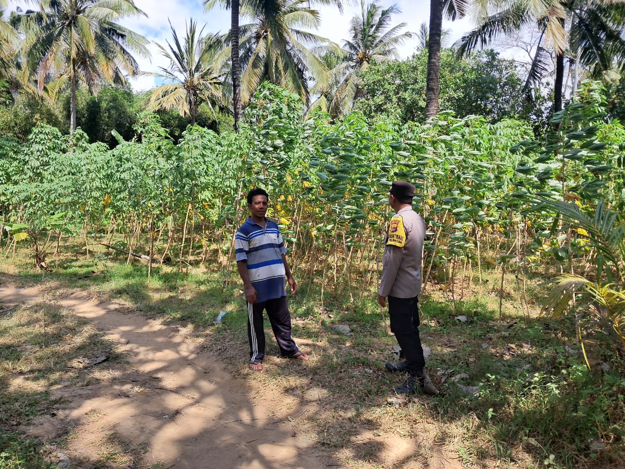 Polsek Sekotong Ajak Warga Pelangan Barat Satu Tanam Jagung di Lahan Pekarangan