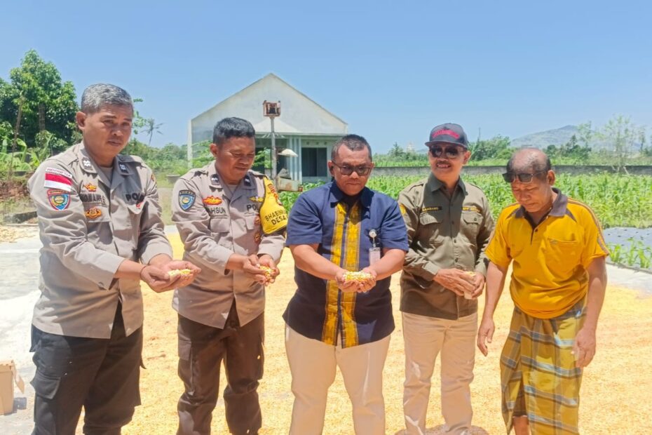 Polri dan Bulog Pastikan Kualitas Jagung di Desa Beleka Gerung