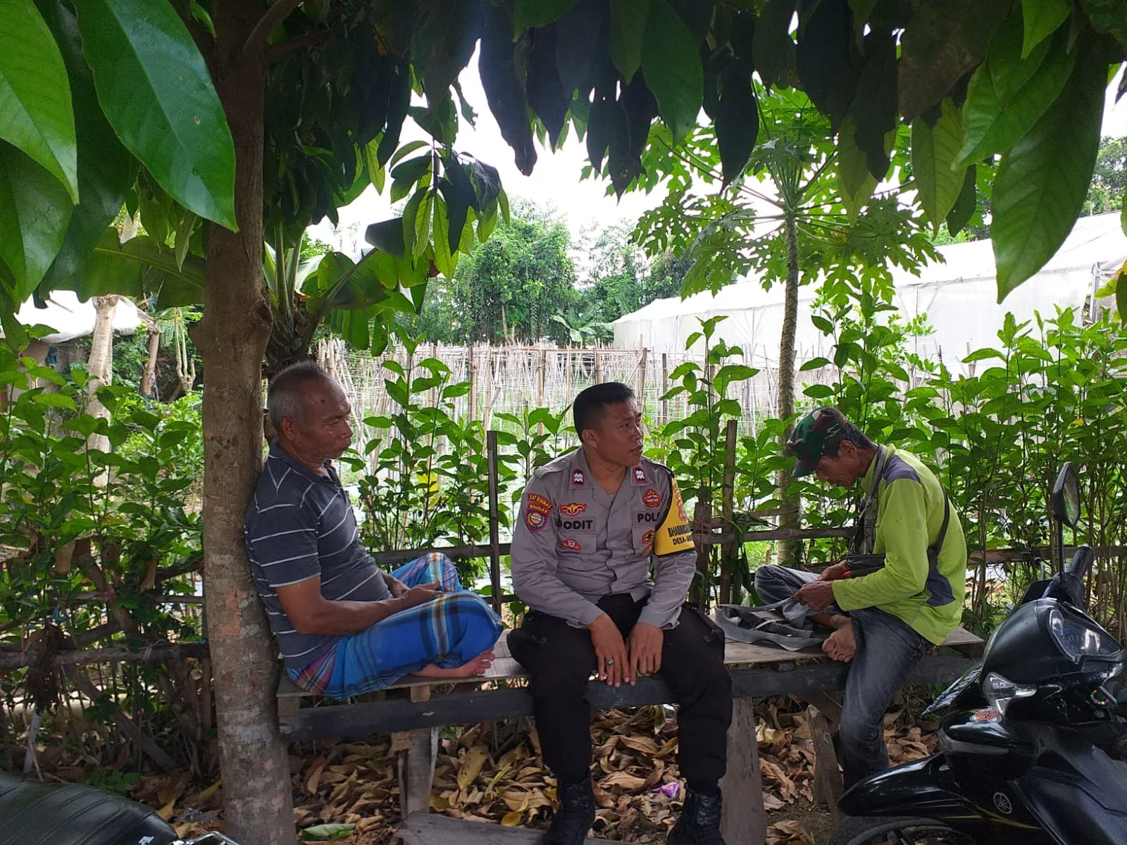 Bhabinkamtibmas Jagaraga Dukung Kemandirian Pangan Warga Melalui Edukasi dan Pendampingan