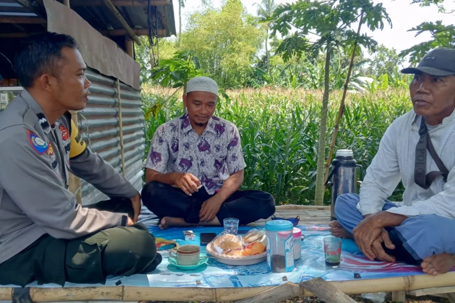 Bhabinkamtibmas Kuripan Dorong Petani Jual Jagung ke Bulog demi Stabilitas Pangan