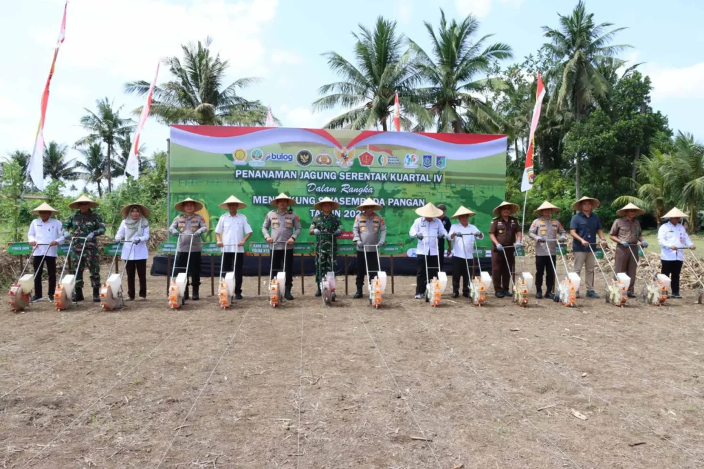 Penanaman Jagung Serentak di Lombok Barat Dukung Swasembada Pangan Nasional