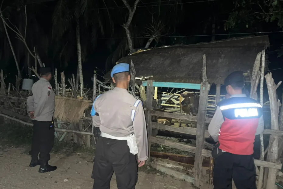 Polsek Sekotong Gencar Patroli Dini Hari, Fokus Amankan Ternak Warga