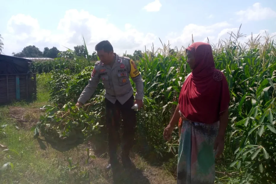 Bhabinkamtibmas Kuripan Gerakkan Petani Menuju Desa Mandiri Pangan