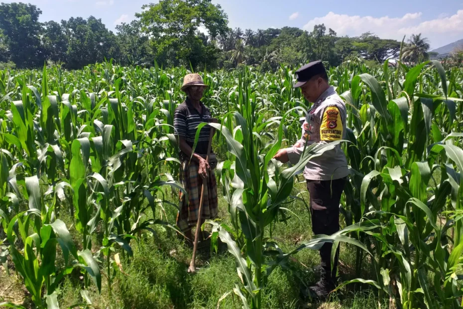 Sinergi Polri dan Petani Polsek Kuripan Bangkitkan Semangat Swasembada Pangan