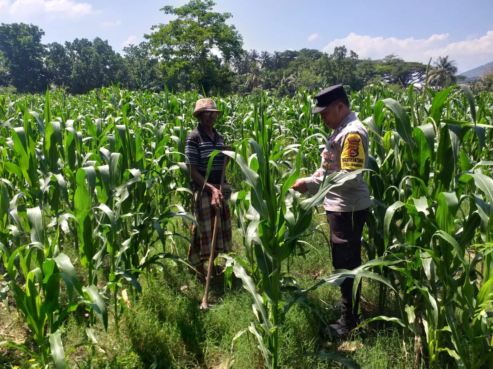 Sinergi Polri dan Petani Polsek Kuripan Bangkitkan Semangat Swasembada Pangan