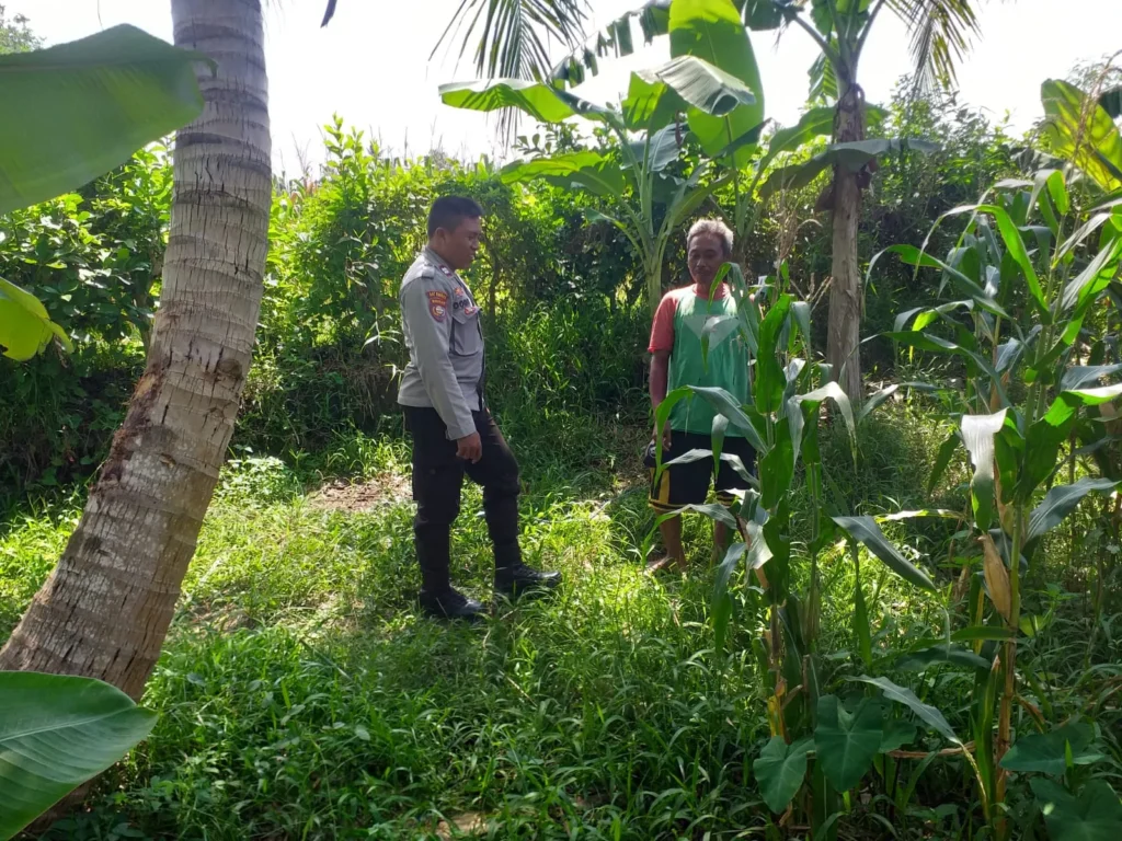 Bhabinkamtibmas Gerakkan Petani Kuripan Dukung Ketahanan Pangan