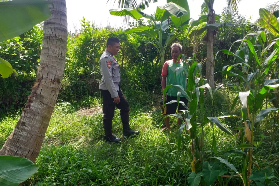 Bhabinkamtibmas Gerakkan Petani Kuripan Dukung Ketahanan Pangan