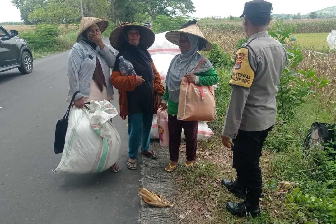 Bhabinkamtibmas Turun ke Sawah, Pastikan Panen Jagung di Gerung Aman dan Sukses