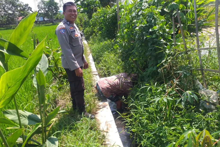 Wujud Nyata Polri Presisi, Bhabinkamtibmas Babussalam Dukung Ketahanan Pangan