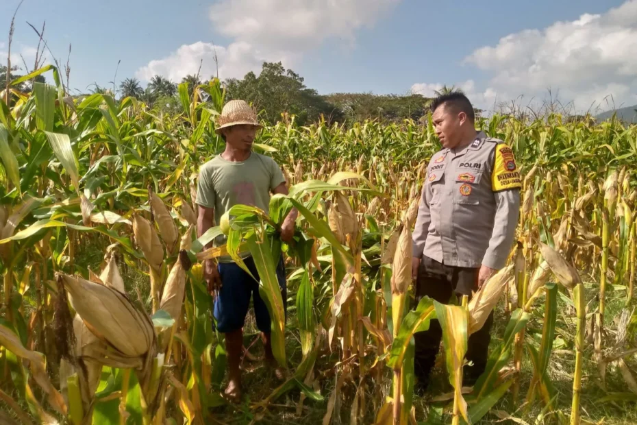 Polsek Kuripan Dorong Swasembada Pangan Lewat Gerakan Lahan Produktif