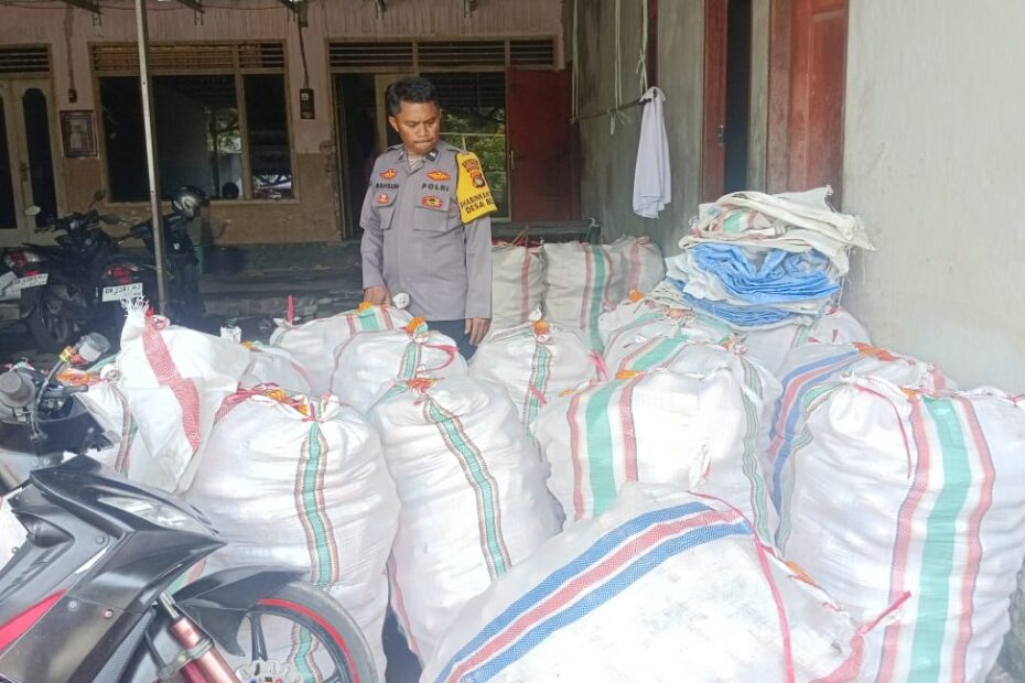 Sinergi Polri–Petani di Beleka: Kualitas Jagung Dijaga Ketat untuk BULOG