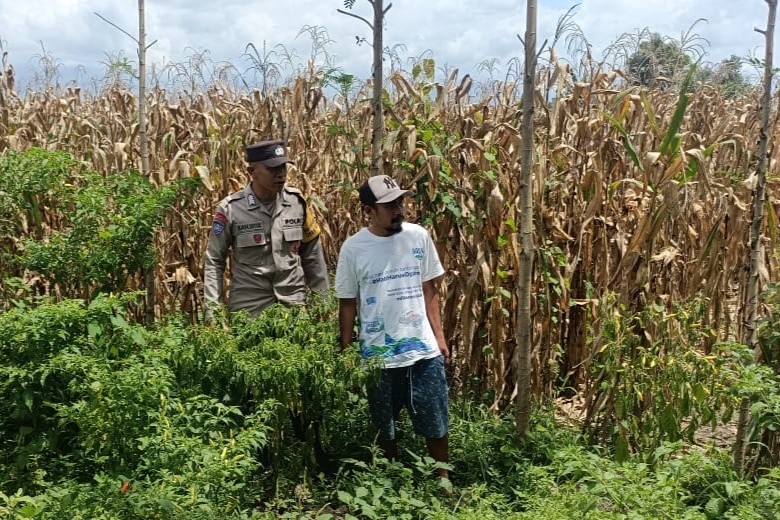 Bhabinkamtibmas Gerung Ajak Warga Optimalkan Lahan Kosong untuk Ketahanan Pangan