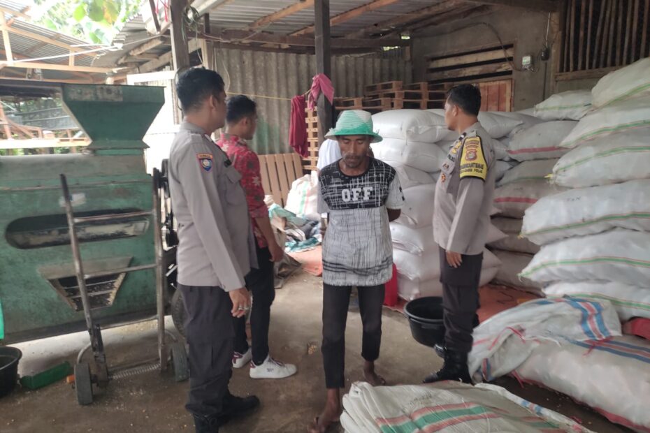 Petani Jagung di Lombok Barat Didorong Jual ke Bulog, Ini Pesan Bhabinkamtibmas