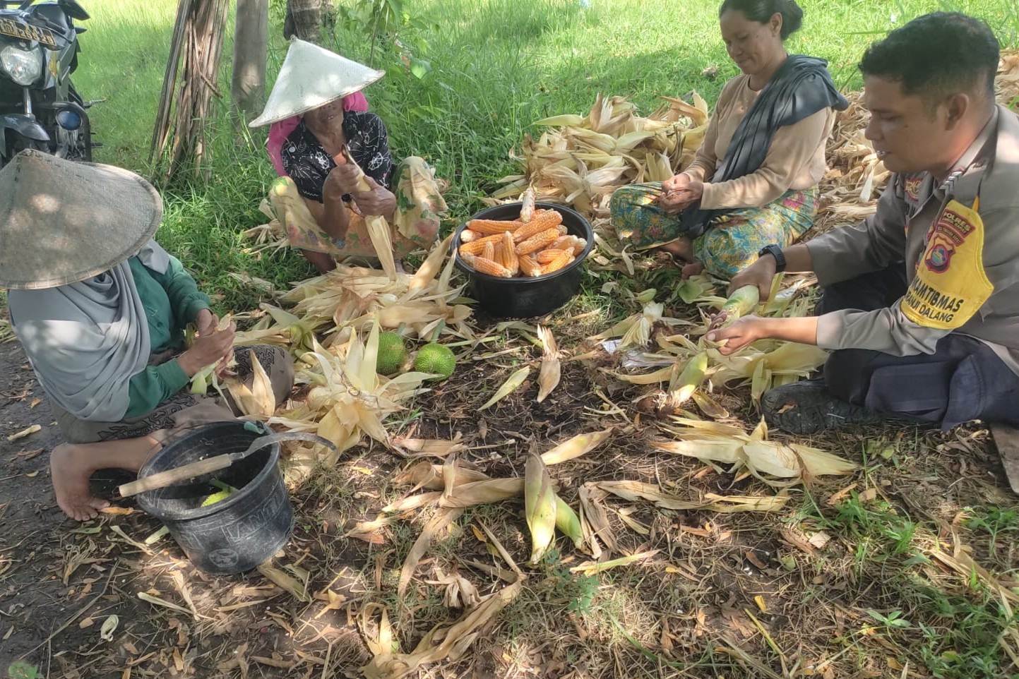 Program Bhabinkamtibmas di Labuapi Bantu Petani Jual Jagung ke Bulog