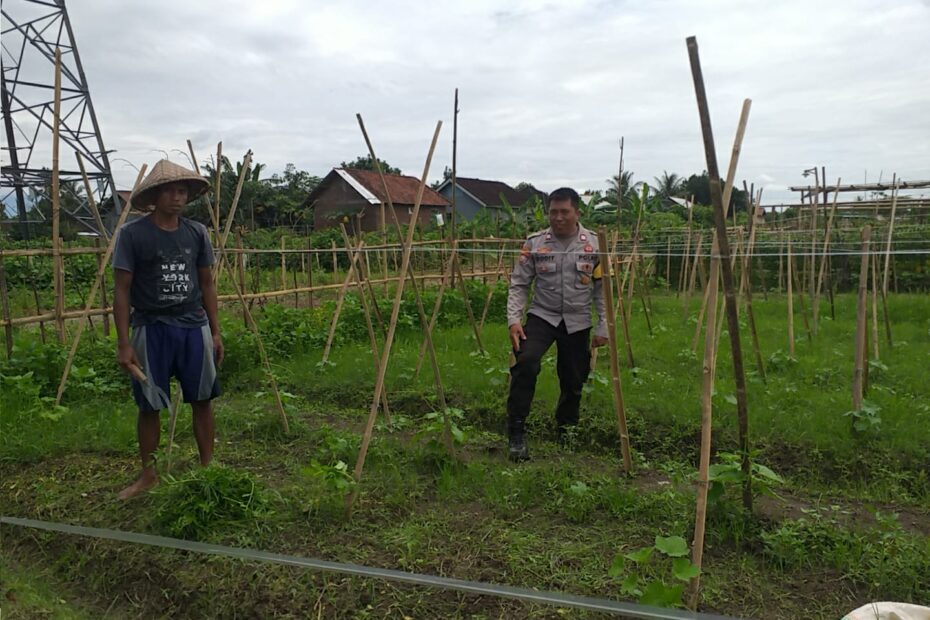Bhabinkamtibmas Jagaraga Dukung Ketahanan Pangan Nasional