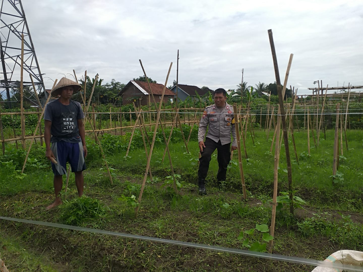 Bhabinkamtibmas Jagaraga Dukung Ketahanan Pangan Nasional
