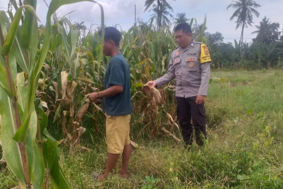 Program Ketahanan Pangan Polsek Kuripan di Desa Jagaraga