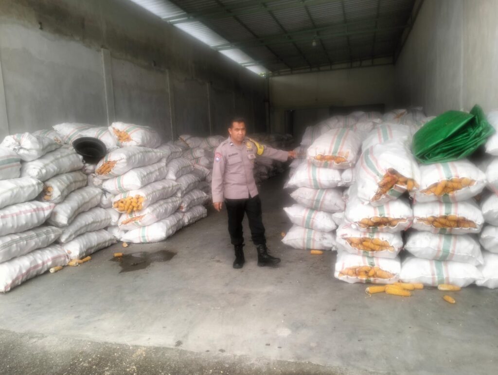 Sinergi Polri dan Bulog Jamin Harga Jual Jagung Petani Lombok Barat