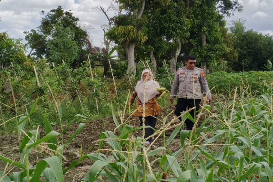 Polisi Ajak Warga Lombok Barat Wujudkan Desa Mandiri Pangan