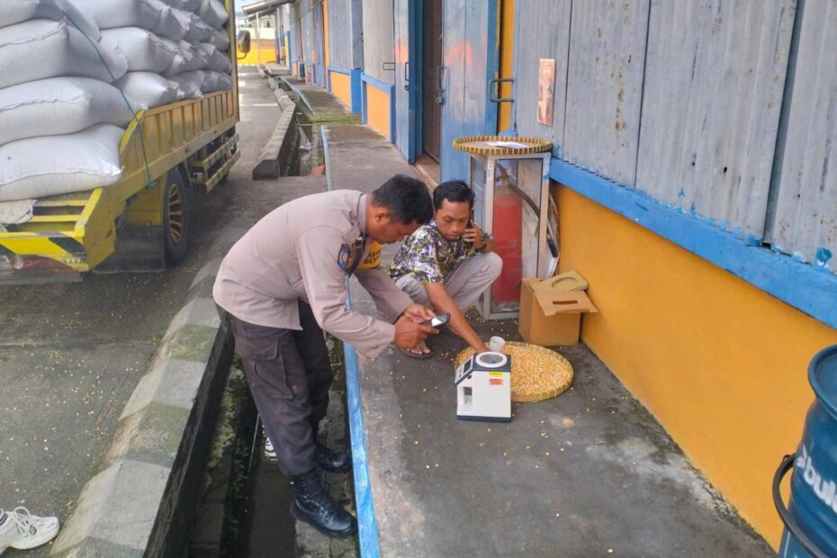 Bhabinkamtibmas Labuapi Amankan Penyerapan Jagung 1 Ton