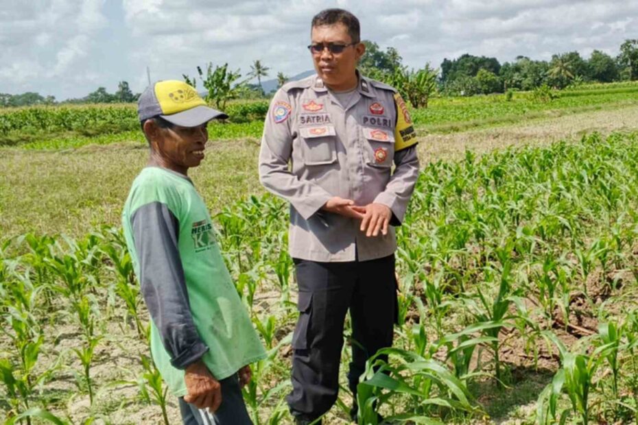 Polsek Labuapi Dukung Program Ketahanan Pangan