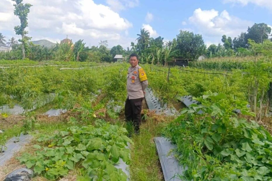 Strategi Polsek Gerung Perkuat Ketahanan Pangan Nasional