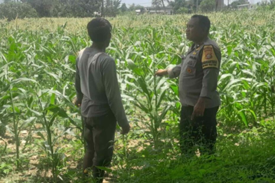 Polisi di Lombok Barat Motivasi Petani Optimalkan Lahan