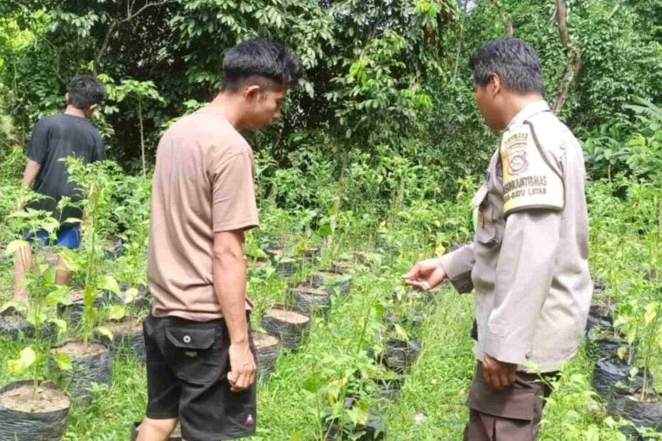 Strategi Polsek Batulayar Tekan Inflasi Melalui Lahan Desa