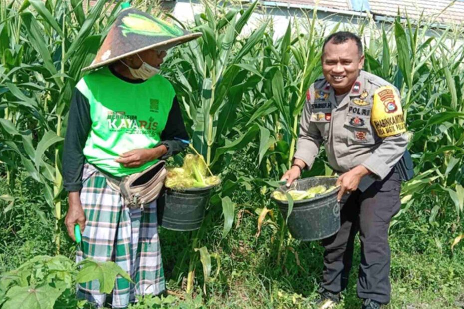 Strategi Polsek Labuapi Wujudkan Kemandirian Pangan