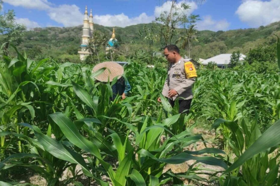 Langkah Polsek Gerung Perkuat Kemandirian Pangan