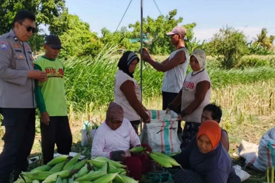 Bhabinkamtibmas Labuapi Ajak Warga Manfaatkan Lahan Pekarangan