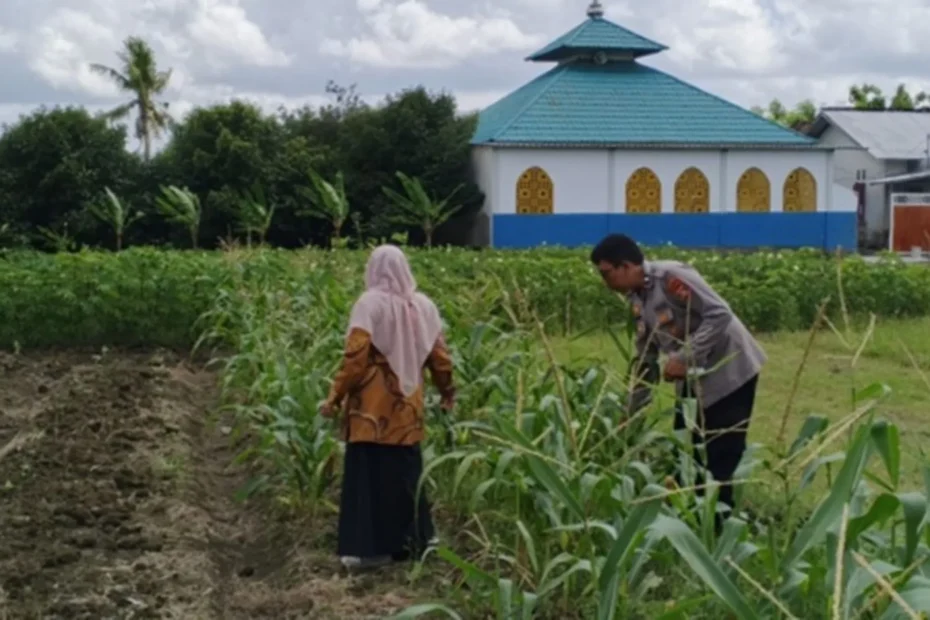 Bhabinkamtibmas Edukasi Warga Telagawaru Manfaatkan Lahan Produktif