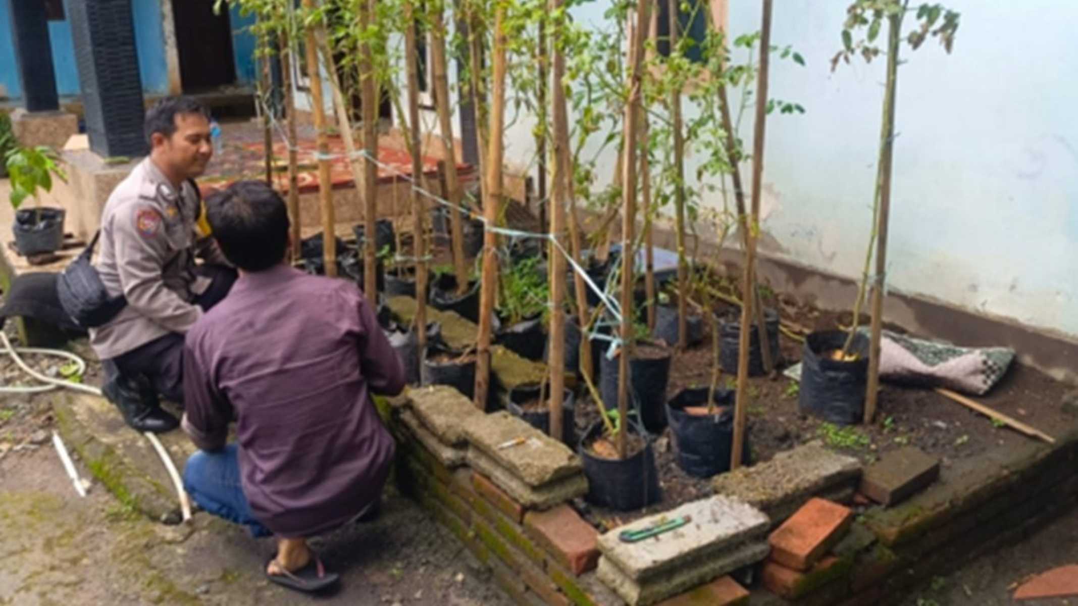 Cara Warga Desa Perampuan Lombok Barat Wujudkan Swasembada Pangan