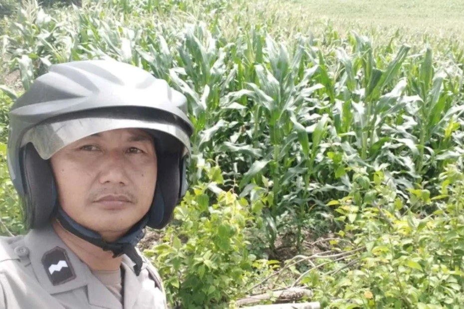 Polri Dampingi Petani Buwun Mas Optimalkan Lahan Tadah Hujan
