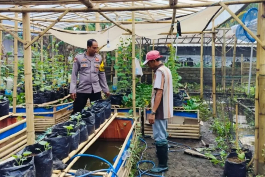 Bhabinkamtibmas Desa Bajur Edukasi Warga Manfaatkan Lahan Sempit