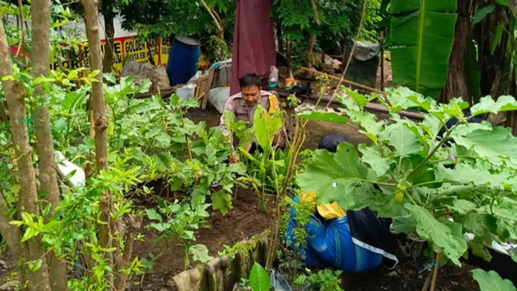 Bhabinkamtibmas Labuapi Dorong Ketahanan Pangan di Desa Perampuan