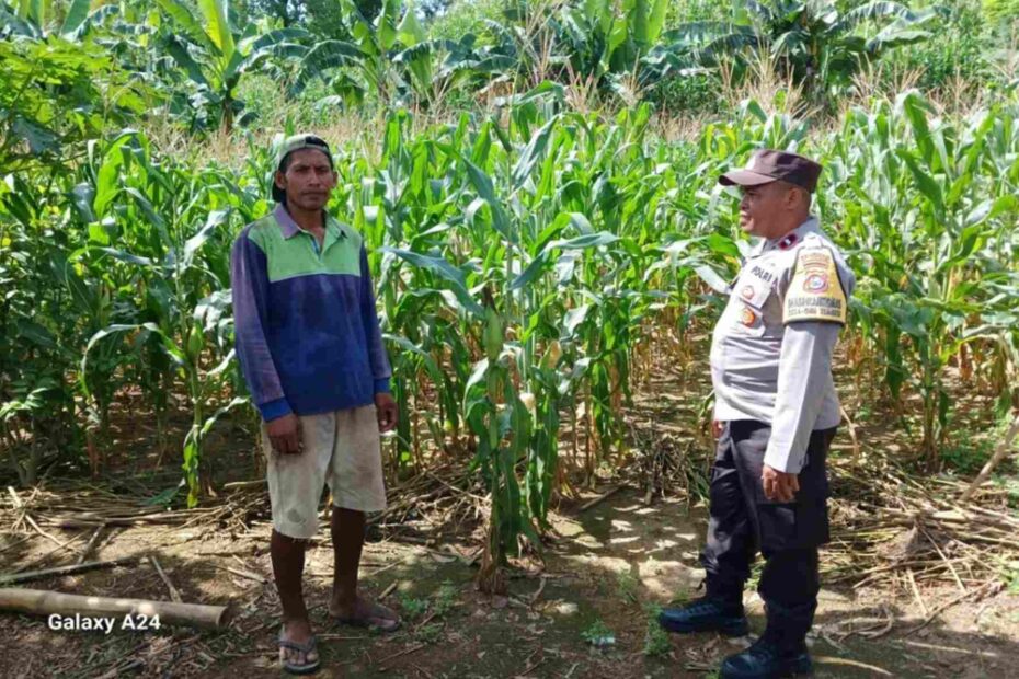 Polsek Gerung Dorong Pemanfaatan Lahan Pekarangan di Giri Tembesi