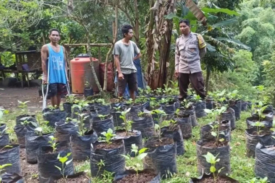 Upaya Desa Batulayar Wujudkan Kemandirian Pangan Lewat Greenhouse
