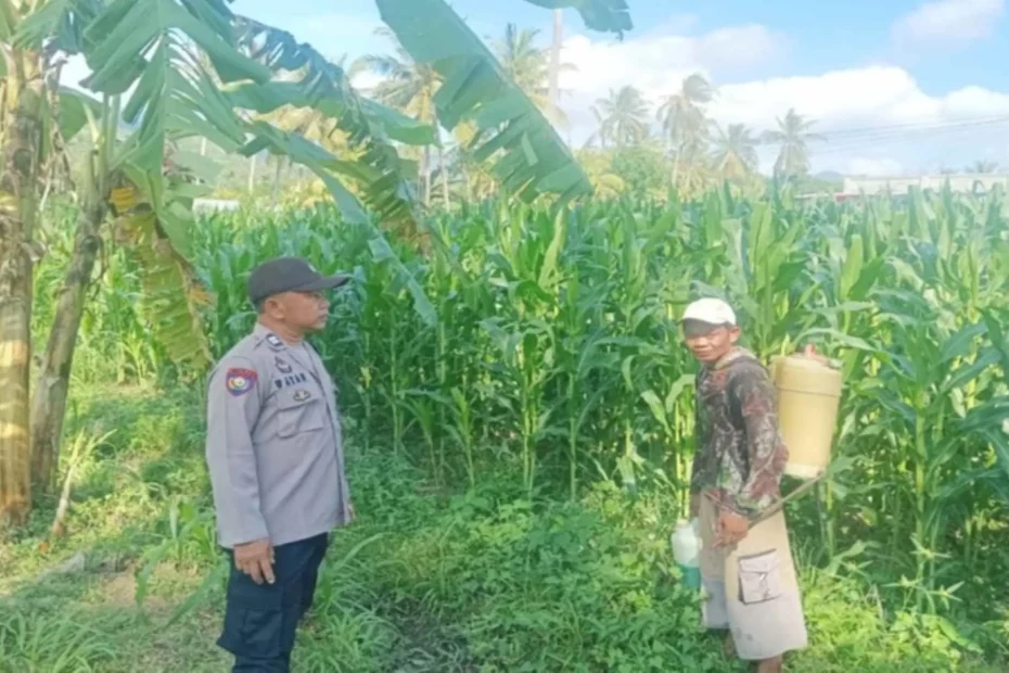 Sinergi Bhabinkamtibmas dan Peternak Gerung Perkuat Pangan