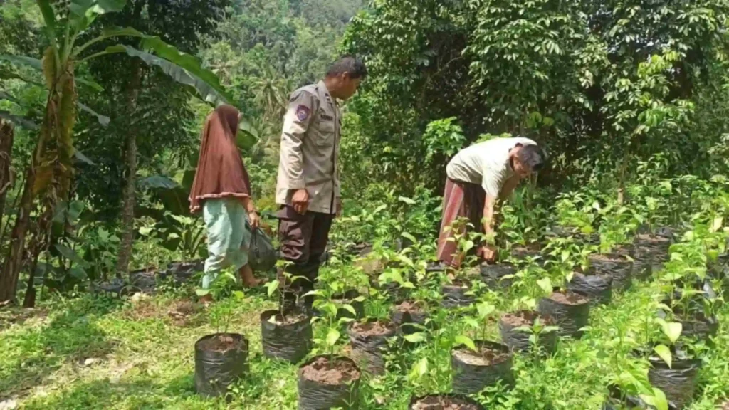 Bhabinkamtibmas Batulayar Dorong Warga Manfaatkan Lahan Pekarangan