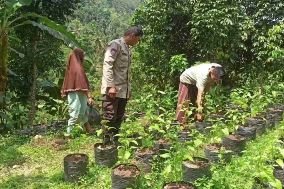 Bhabinkamtibmas Batulayar Dorong Warga Manfaatkan Lahan Pekarangan