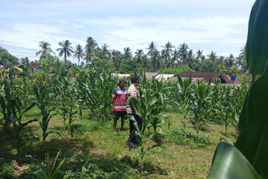 Polri Motivasi Petani Sekotong Barat Optimalkan Lahan Pertanian