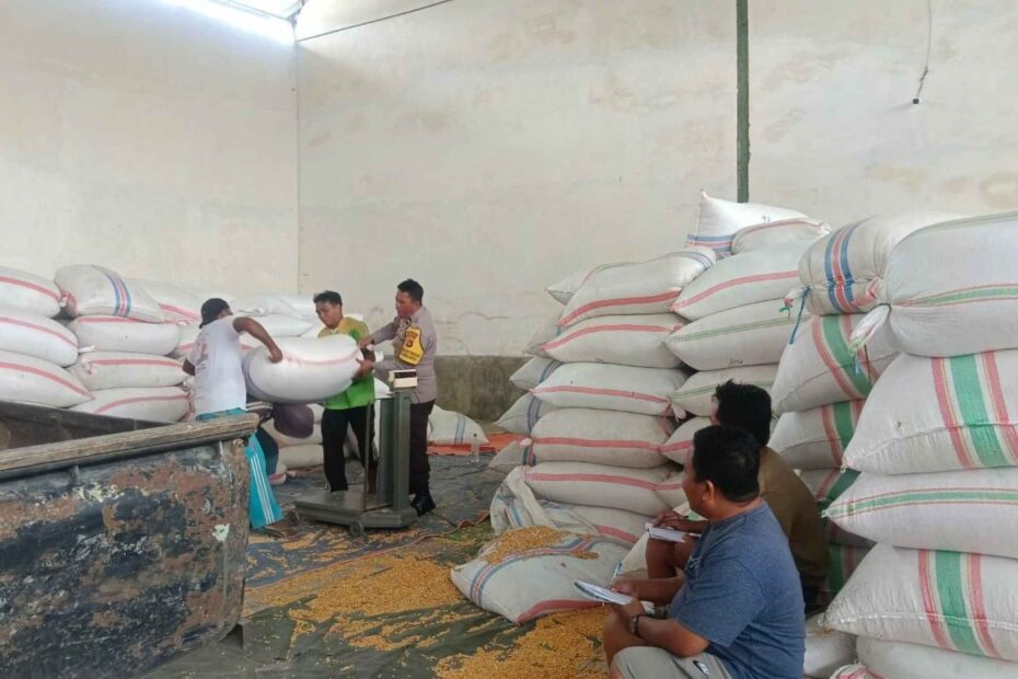 Stabilitas Pangan: Bhabinkamtibmas Cek Gudang Jagung NTB