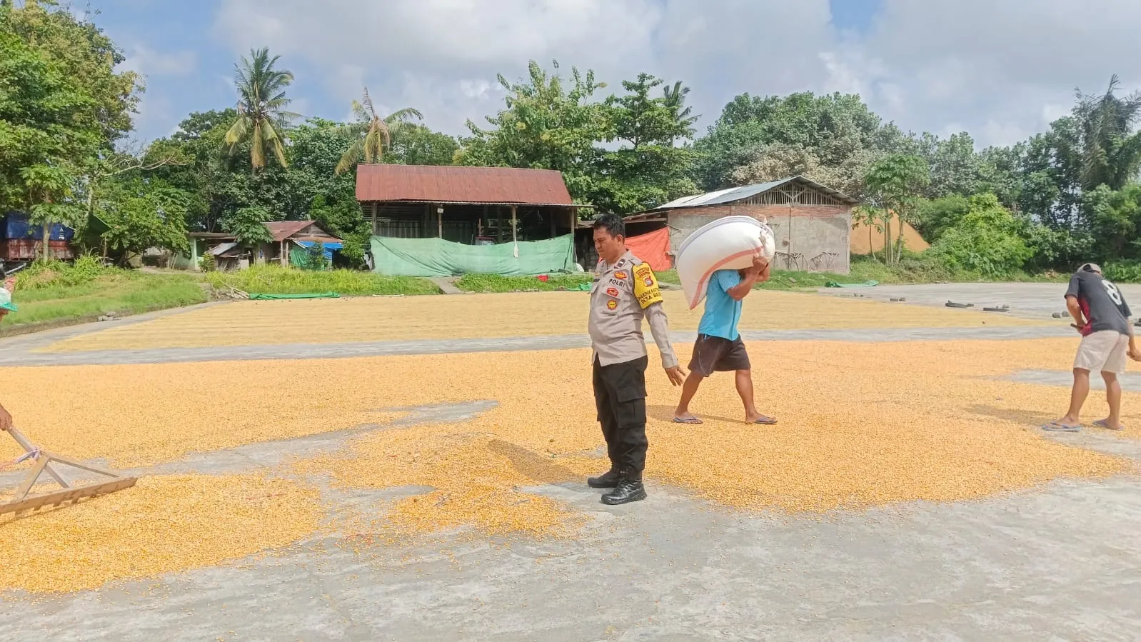 Pastikan Stok Aman, Bhabinkamtibmas di Gerung Cek Gudang Jagung