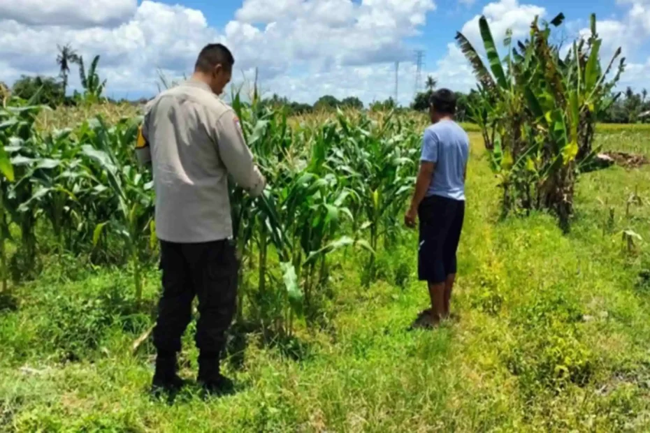 Polsek Labuapi Dorong Warga Kelola Pekarangan untuk Swasembada Pangan