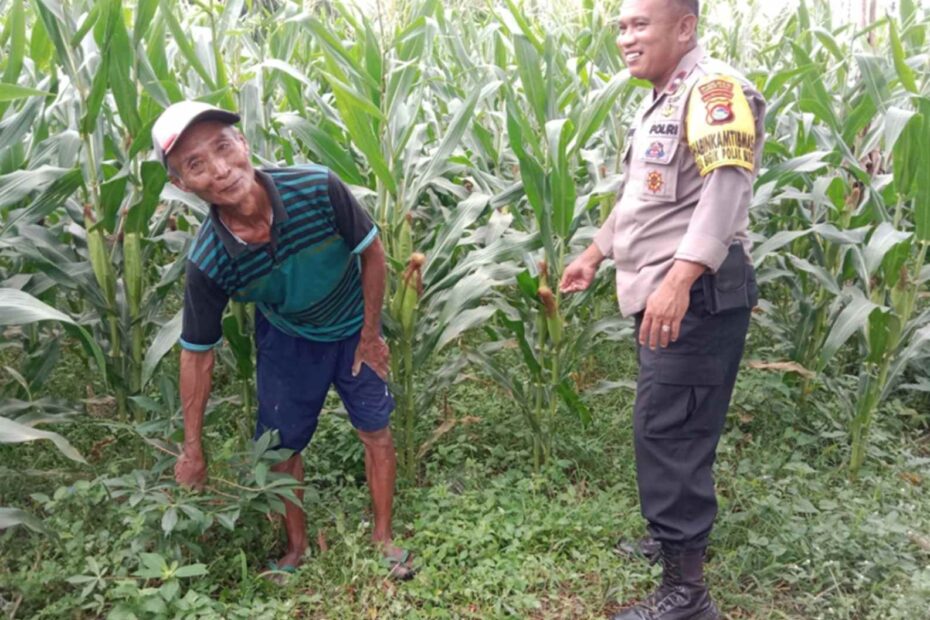 Langkah Polres Lombok Barat Tingkatkan Produktivitas Pangan Desa